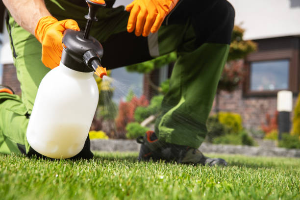 Best Pest Control Near Me  in Elliston, VA
