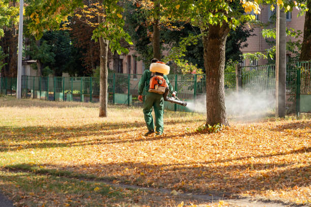 Best Pest Control Near Me  in Elliston, VA